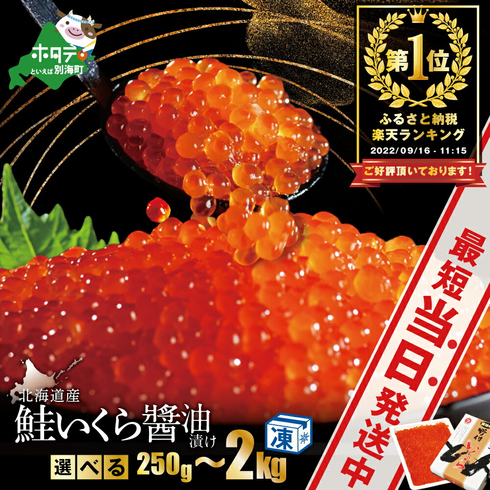 ふるさと納税 選べる配送月 12月発送 北海道産いくらしょう油漬250g 笹谷商店 ふるさと納税 いくら F4F-3640 2024年12月発送 ふるさと納税 選べる配送月 12月発送 北海道産いくらしょう油漬250g 笹谷商店 ふるさと納税 いくら F4F-3640 2024年12月発送