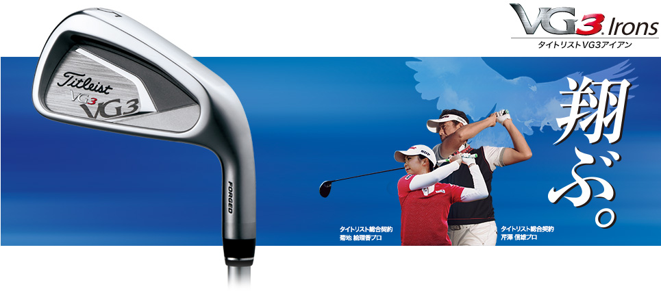 タイトリスト Titleist アイアンセット VG3(2012) Titleist VG3(2012) 6S フレックスS 中古 Cランク タイトリスト Titleist アイアンセット VG3(2012) Titleist VG3(2012) 6S フレックスS 中古 Cランク