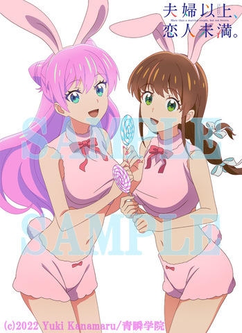 BD/TVアニメ/夫婦以上、恋人未満。 Blu-ray BOX 下巻(Blu-ray)