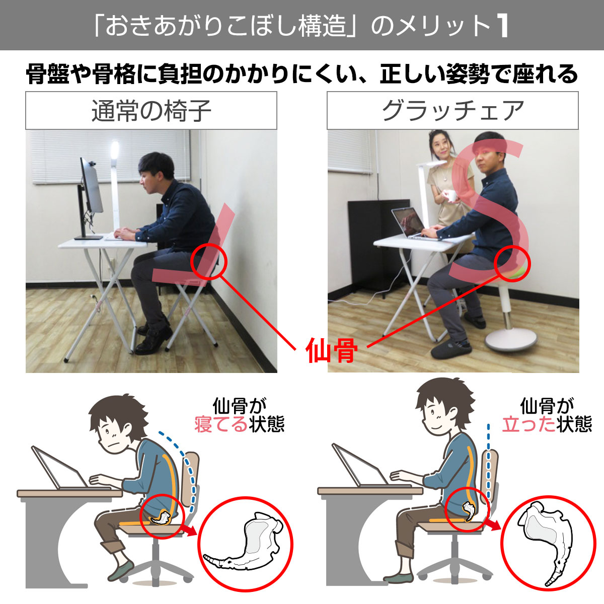 バランスチェア 姿勢矯正 グラッチェア ながら運動 テレワーク オフィスチェア 椅子 腰痛 (ナチュラル×アッシュ)