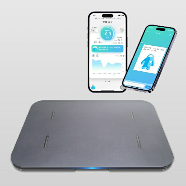 SA厚口 ヤンルックハケ 60mm