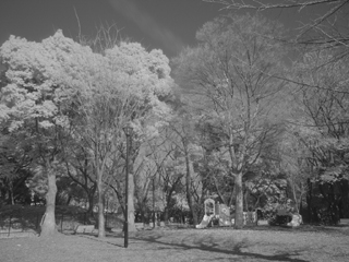 KENKO ケンコー 77S PRO1D R72（77mm）