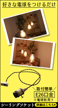 ウシオ電球 USHIO Par36 JP100V300WC/N/S3/S ビームテック