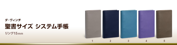 ダ・ヴィンチ ドルチェメンテES A5サイズ 15mmブルーシステム手帳 日本製 DSA1092