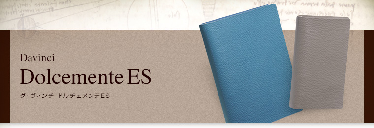 ダ・ヴィンチ ドルチェメンテES A5サイズ 15mmブルーシステム手帳 日本製 DSA1092