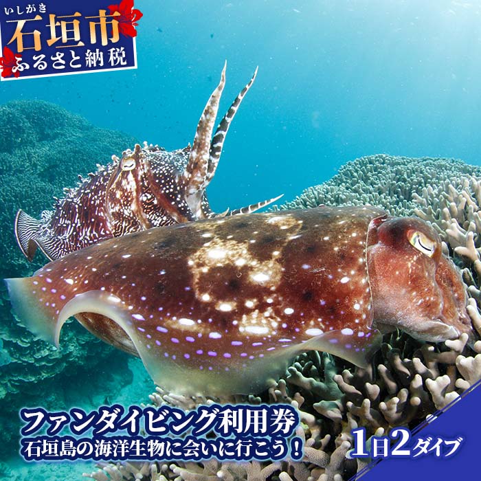 ふるさと納税 美ら海ベストポイント・ファンダイビング（2ダイブ）＜2名様分＞ 沖縄県読谷村