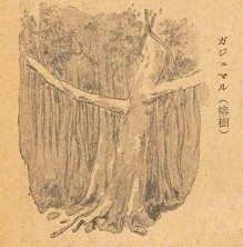 星野家譜 (1982年) [古書] 山口 信一; 今村 和方