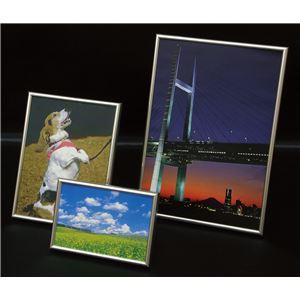 代引不可/(まとめ)アーテック メタリックフレーム A4 〔×40セット〕/代引不可