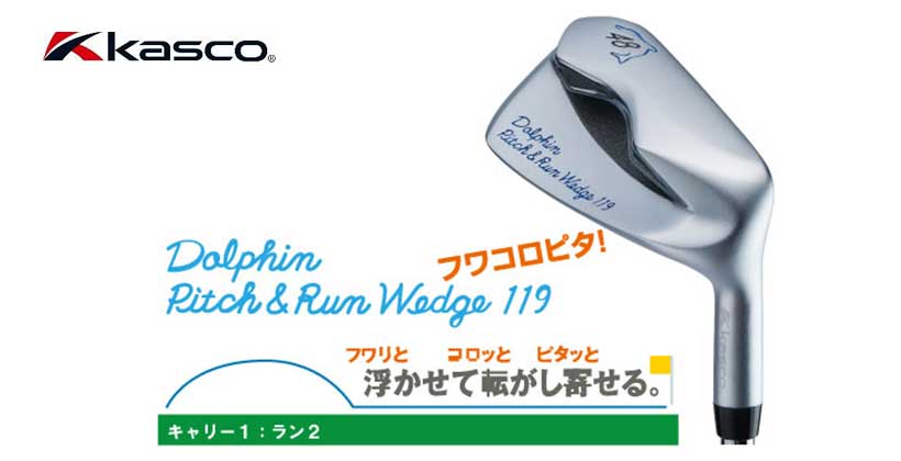 キャスコ ドルフィン ピッチ&ランウェッジ DPW-119 34インチ スチールシャフト シルバー
