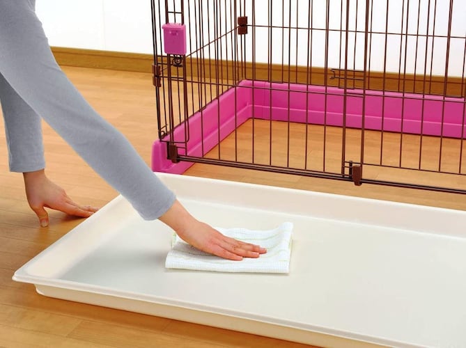 クイックサ?クル６５