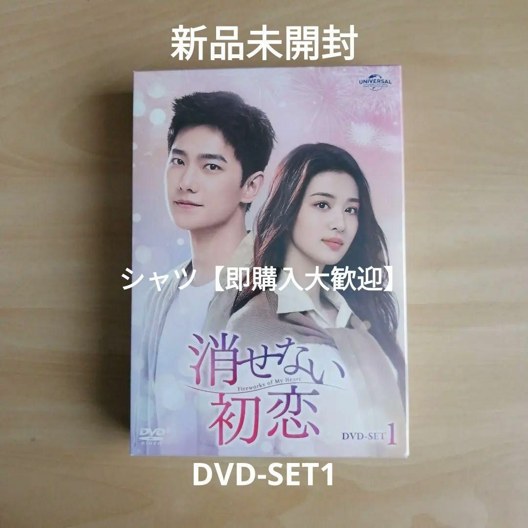 ずっと恋したい DVD-BOX1(中古品)