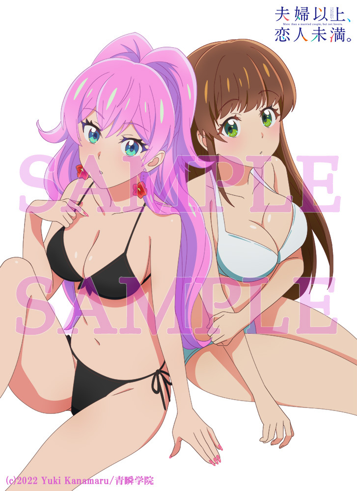 BD/TVアニメ/夫婦以上、恋人未満。 Blu-ray BOX 下巻(Blu-ray)