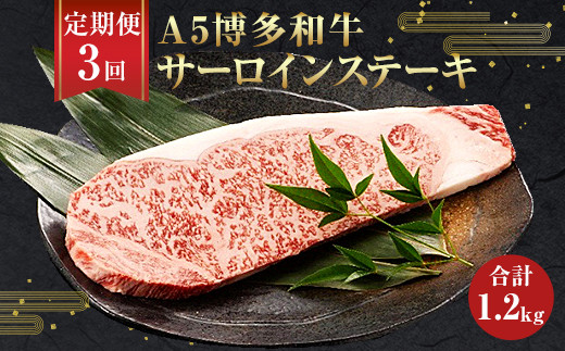 ふるさと納税 凍眠 はかた地どり ささみ 1kg 500gｘ2 鶏肉 冷凍