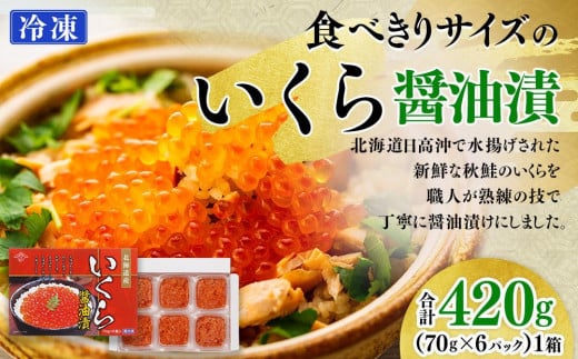 ふるさと納税 11月発送新 いくら 醤油漬け 100g×6パック（鱒卵）いくら イクラ 醤油漬け いくら醤油漬け 海産物 ふるさと納税…
