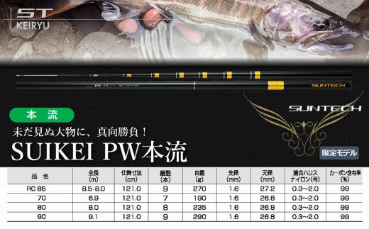 サンテック 鮎ロッドパーツ　176870 FM-X 超硬 875 #8番（上から8番目）元竿