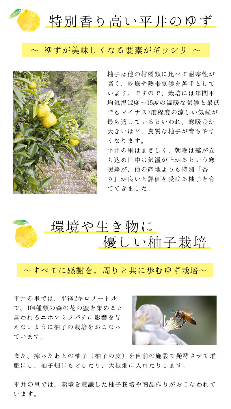 ふるさと納税 和歌山県 古座川町 古座川町のゆずゼリー菓子 柚里花 80g 10個 ゆず 柚子 柚 ユズ お菓子 スイーツ お茶菓子 ゼリー