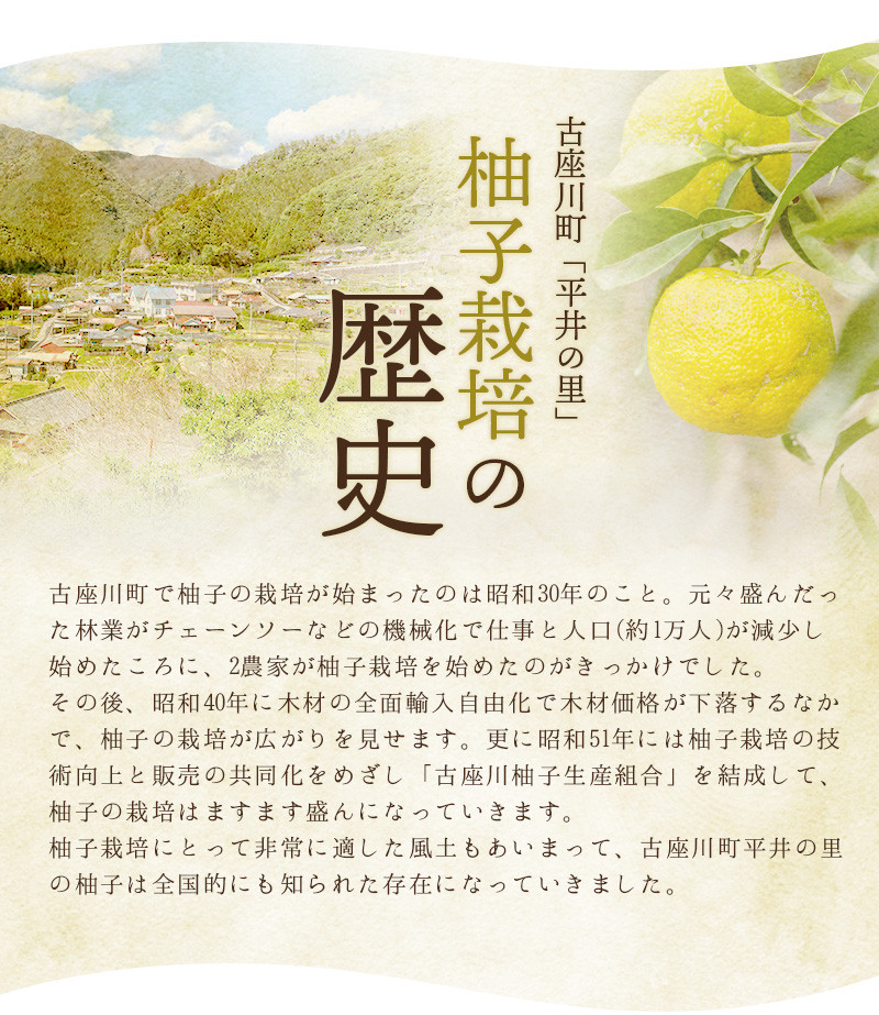 ふるさと納税 和歌山県 古座川町 古座川町のゆずゼリー菓子 柚里花 80g 10個 ゆず 柚子 柚 ユズ お菓子 スイーツ お茶菓子 ゼリー