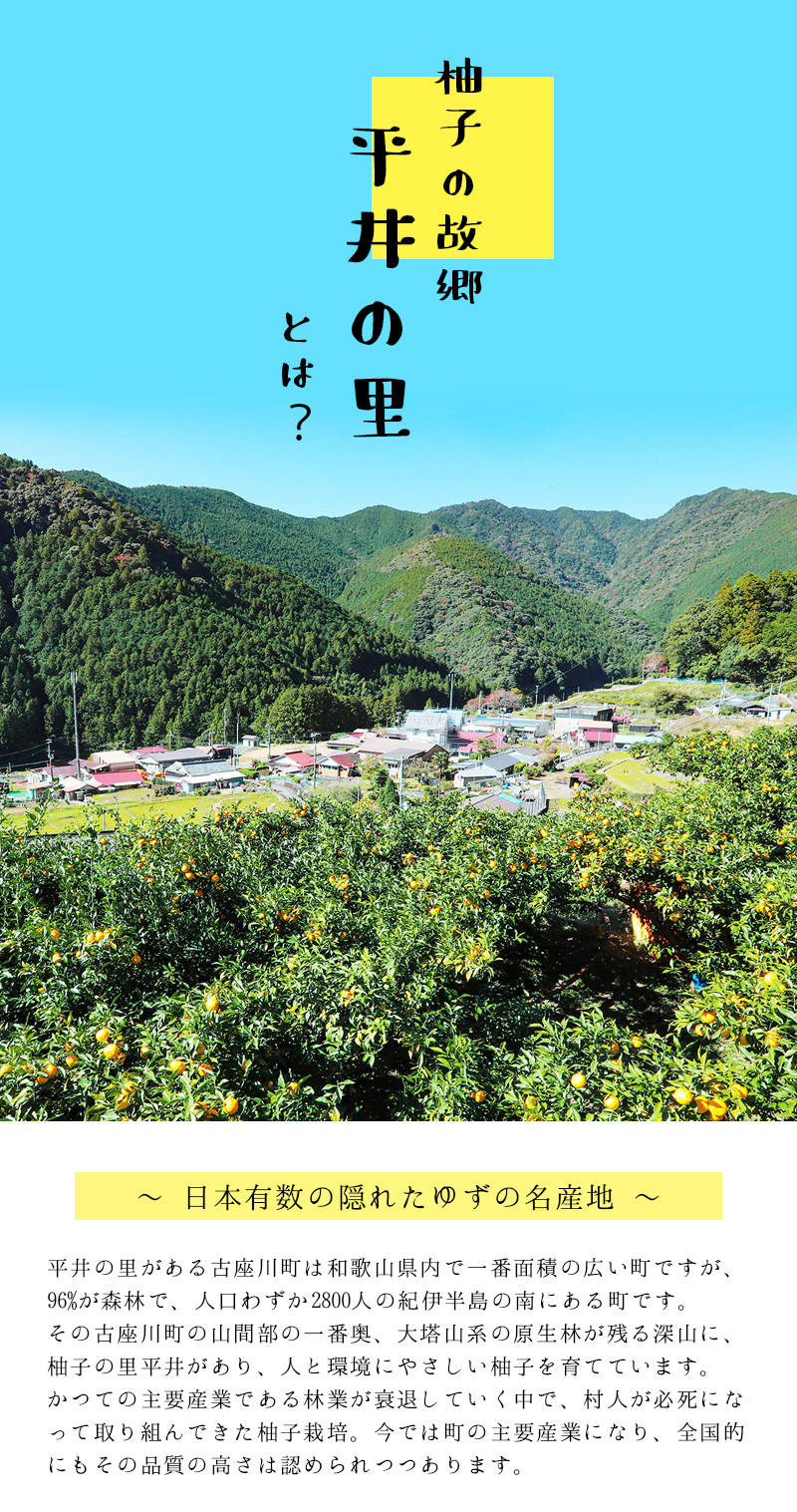 ふるさと納税 和歌山県 古座川町 古座川町のゆずゼリー菓子 柚里花 80g 10個 ゆず 柚子 柚 ユズ お菓子 スイーツ お茶菓子 ゼリー