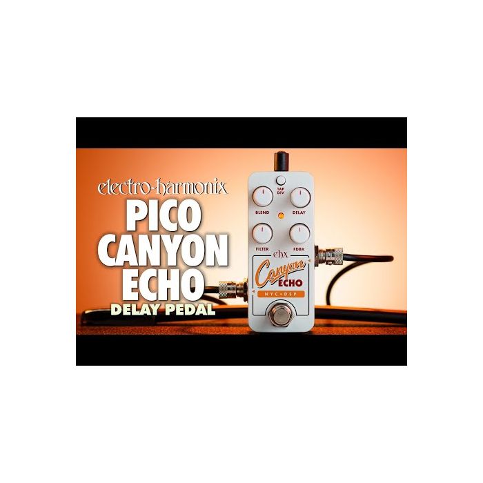 electro-harmonix / Pico Canyon Echo Digital Delay デジタル・ディレイ エレクトロハーモニクス エレハモ