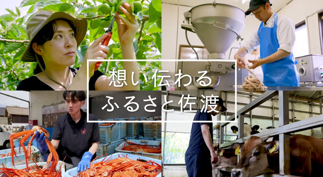 ふるさと納税 佐渡市 新潟県佐渡市　PayPay商品券(9,000円分)※地域内の一部の加盟店のみで利用可