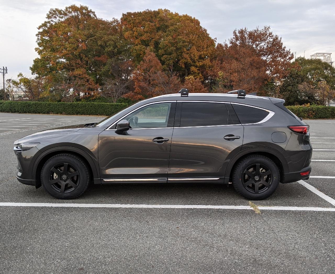 DOALL Fenice X XC6 フェニーチェ クロス エックスシ― シックス 7.5J-17 +42 5H114.3 選べるホイールカラー & ヨコハマ ジオランダー M/T G003 225/65R17