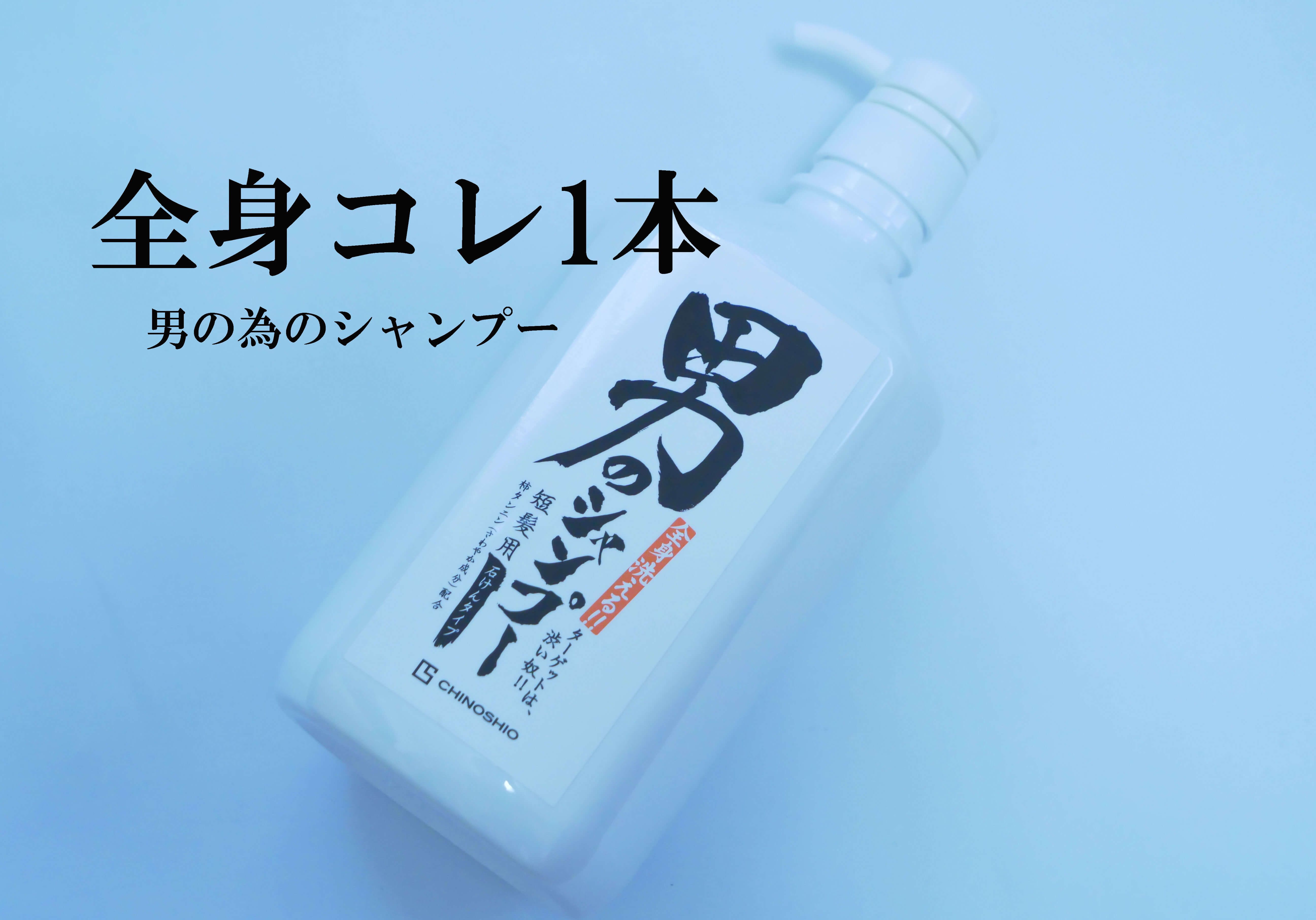 地の塩社 ちのしお 男のシャンプー 詰替用 250mL ( 全身洗える男性向けシャンプー 詰替え )