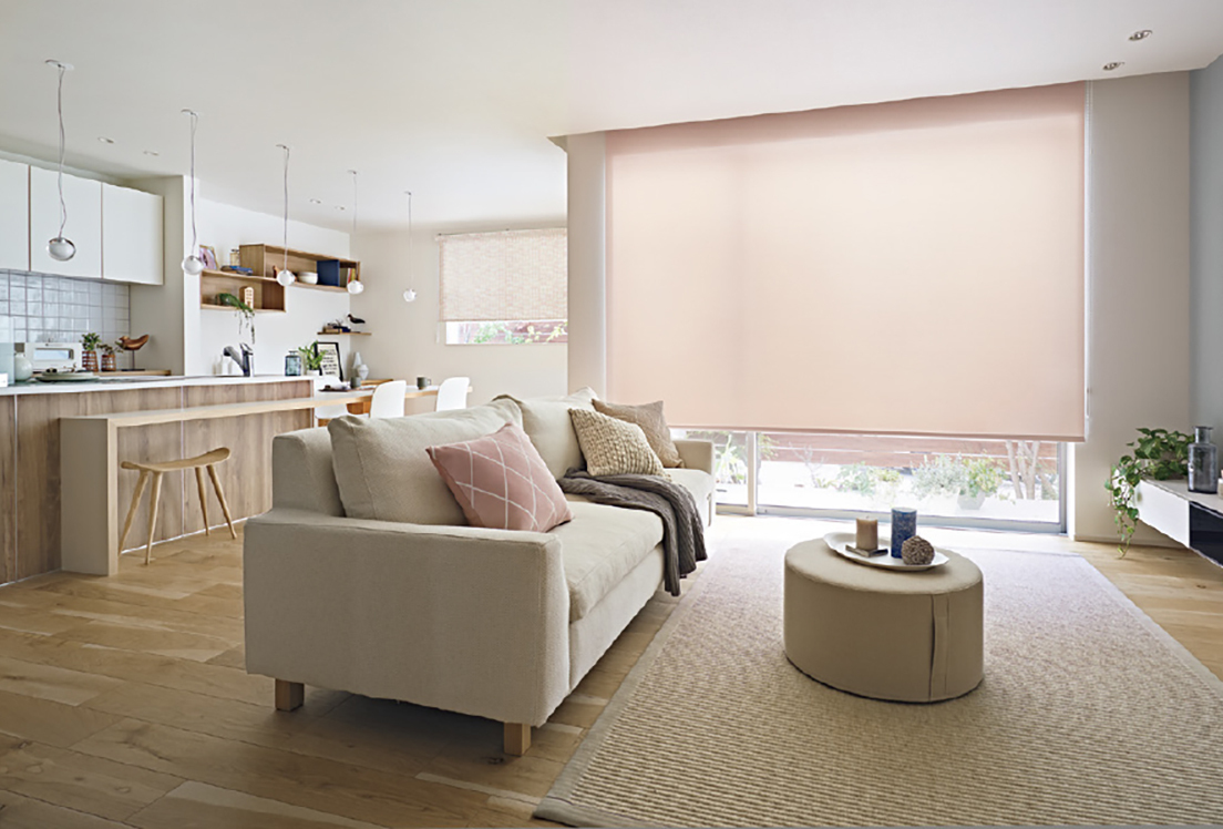 ロールスクリーン タチカワ ブラインド ラルクシールド 電動 ホームタコス エブリ遮光 RS-8461〜8500 幅250×高さ160cmまで