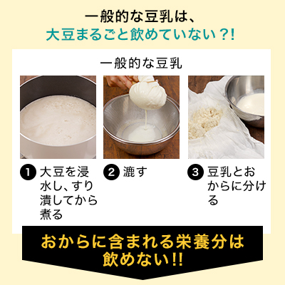 ソイリッチ 基本セット 完全豆乳メーカー 豆乳機 豆乳マシーン 豆乳ブレンダー ミキサー ブレンダー ジューサー スープメーカー ヨーグルトメーカー