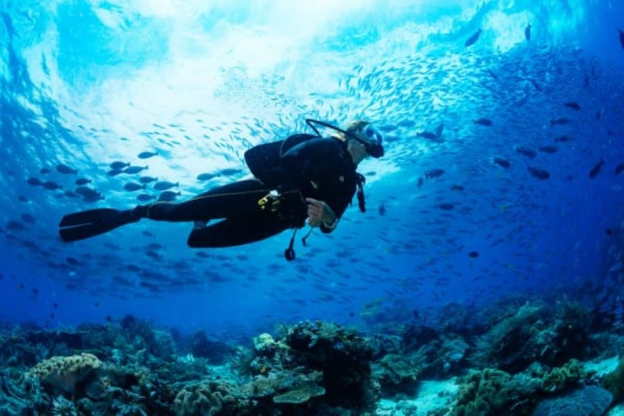 ふるさと納税 美ら海ベストポイント・ファンダイビング（2ダイブ）＜2名様分＞ 沖縄県読谷村