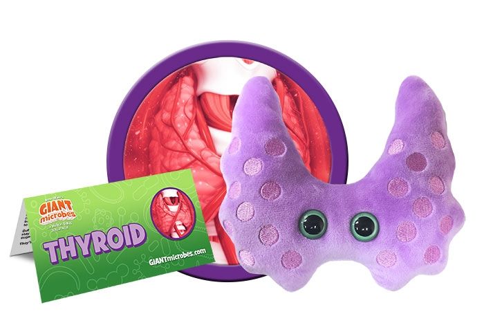 GIANTmicrobes Thyroid Plush-Educational Anatomical Organ Toy, Get Well Gift