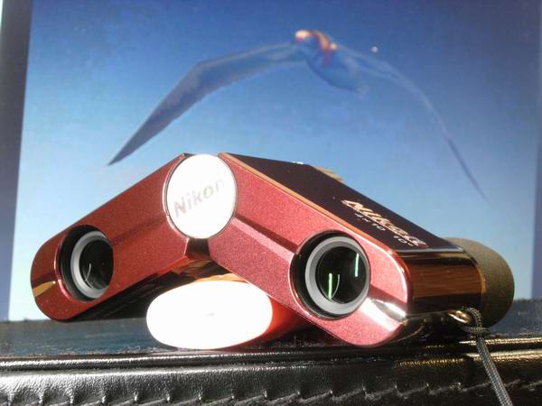 Nikon 双眼鏡 遊 4X10D CF ダハプリズム式 4倍10口径 シャンパンゴールド 4X10DCF (日本製)