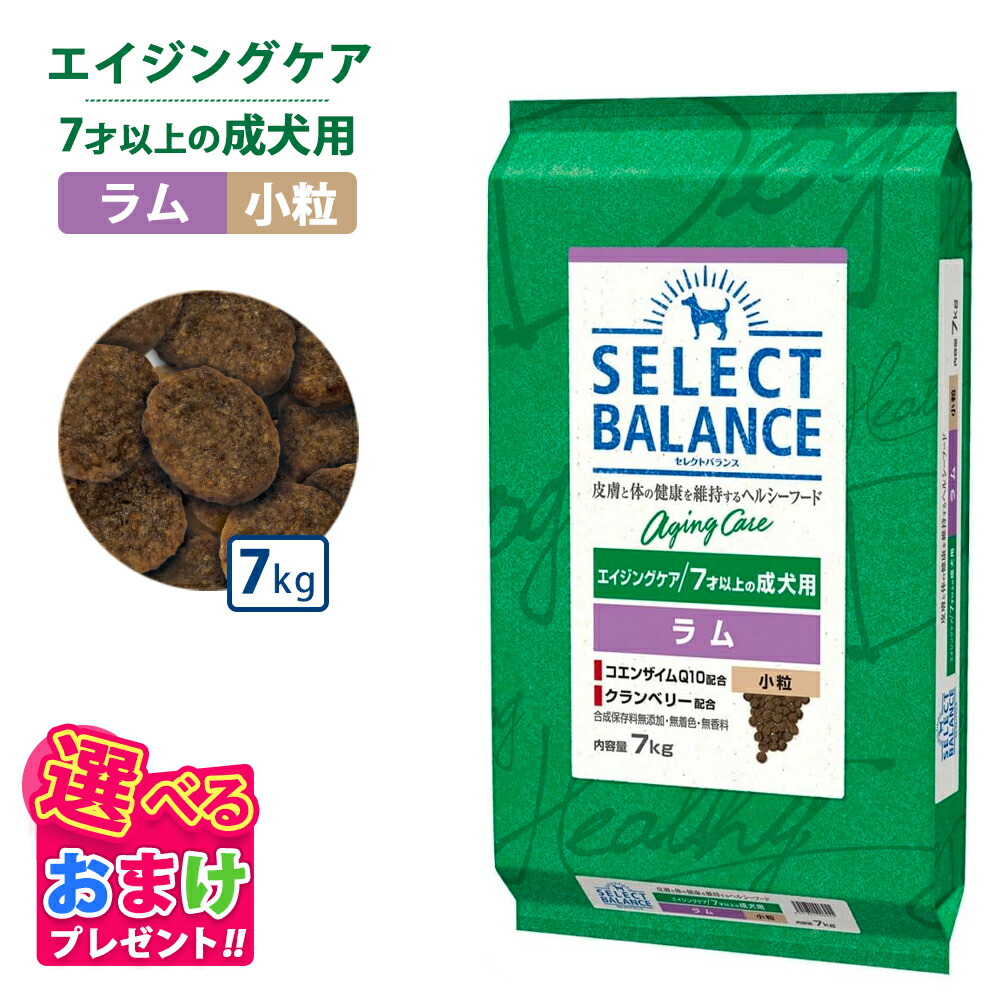 ベッツチョイス セレクトバランス エイジングケア ラム 小粒 7才以上の成犬用7kg