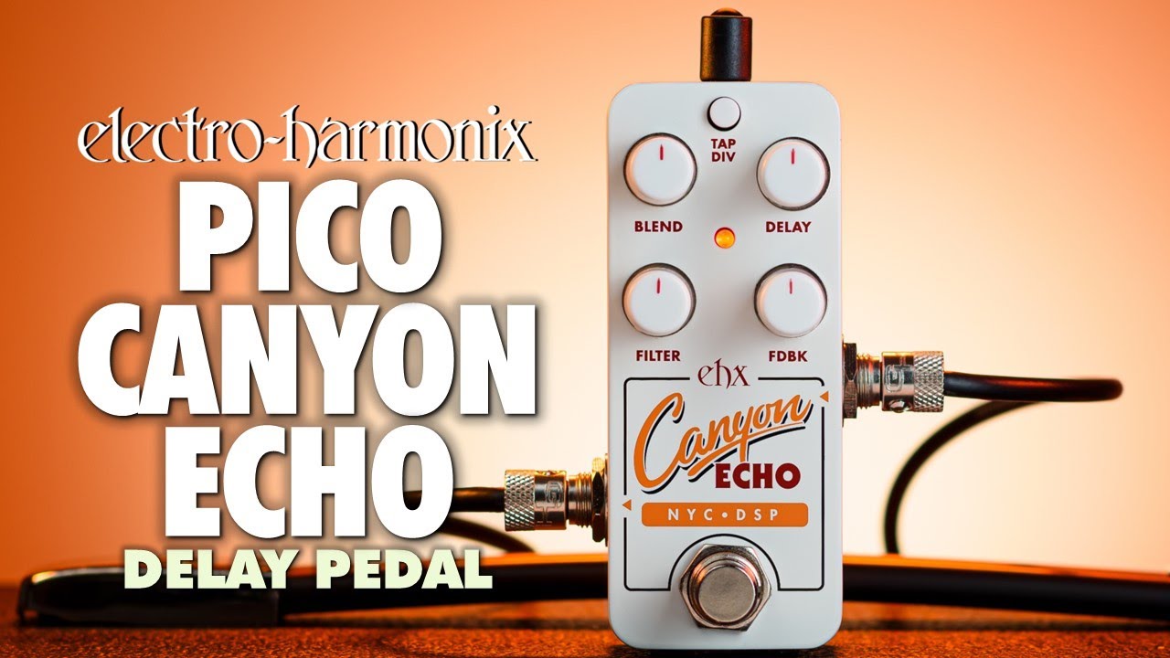 electro-harmonix / Pico Canyon Echo Digital Delay デジタル・ディレイ エレクトロハーモニクス エレハモ