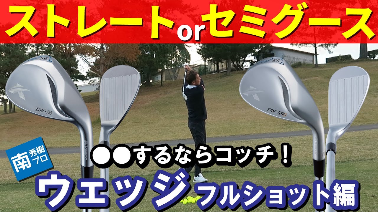 キャスコ DW-120G ドルフィン セミグース ブラック ウエッジ ダイナミックゴールド スチールシャフト 特注カスタムクラブ