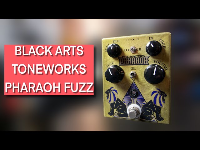 Black Arts Toneworks Pharaoh ファズ