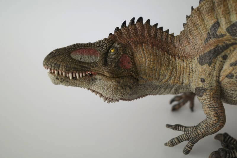 Papo(パポ)アクロカントサウルス PVC PA55062