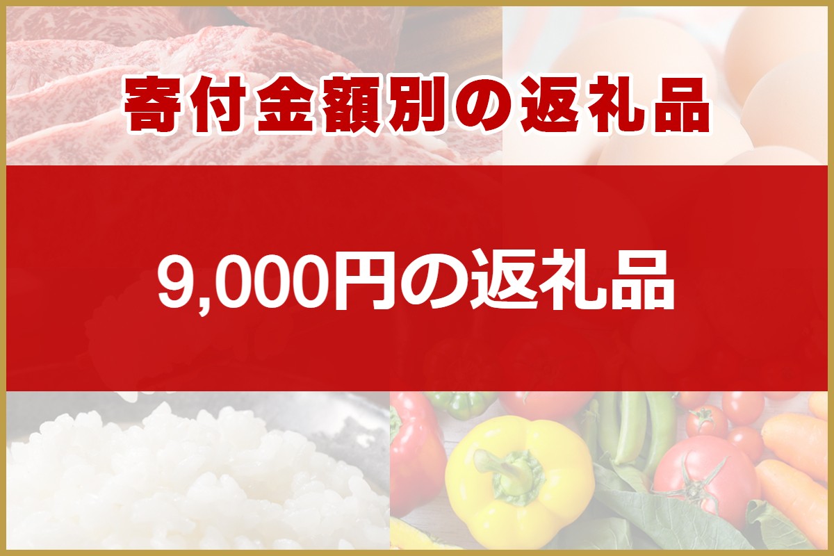 ふるさと納税 廿日市市 GDOふるさとゴルフプレークーポン(9,000円分)