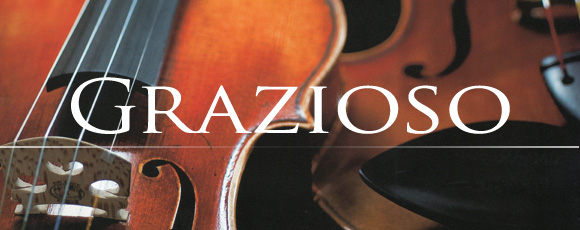 Grazioso GV-0 1/8 バイオリン 4点セット